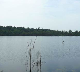 Diya Sisila - direkt am See