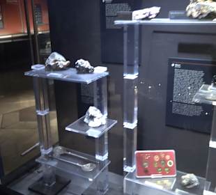 Staatliches Naturkunde Museum