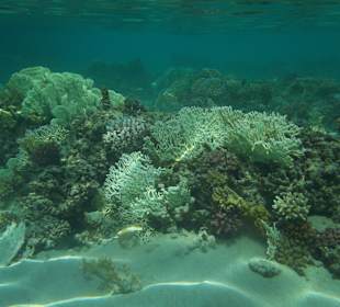 Protější strana zátoky