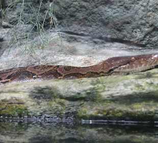 Tropen Aquarium Hagenbeck