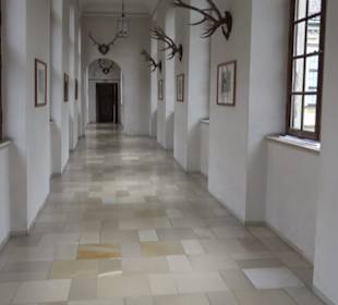 Reiche Zimmer