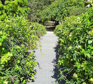 Rundgang durch den Botanischen Garten Cagliari