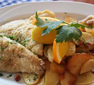 Pannfisch... etwas blass!