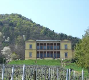 Villa Ludwigshöhe