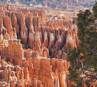 Bryce Canyon