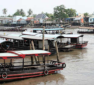 Mekong Delta