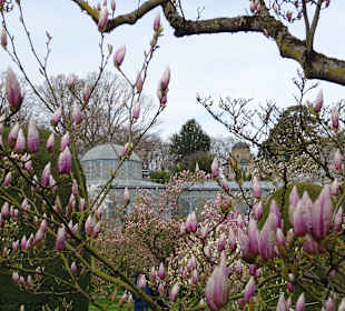 Wilhelma Stuttgart