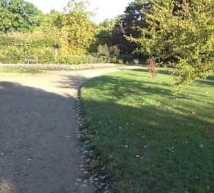 Botanischer Garten