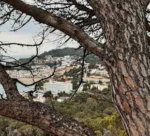 Wandern Tossa de Mar