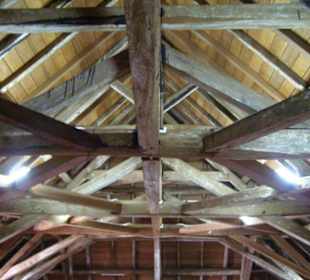 Unterm Dach des Museums