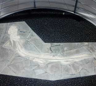  Burgruine Lichtenberg Thallichtenberg Geoskop