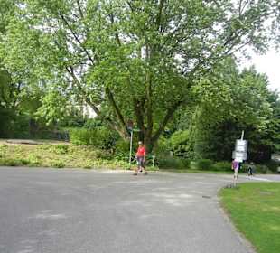 Parkanlage Planten un Blomen