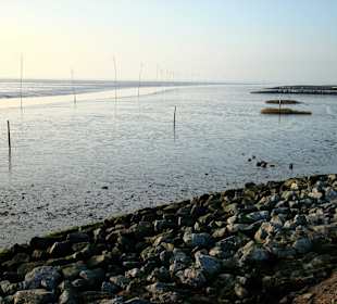 Ausfahrt des Hafens in die Nordsee