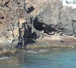 Fahrt mit dem Wassertaxi