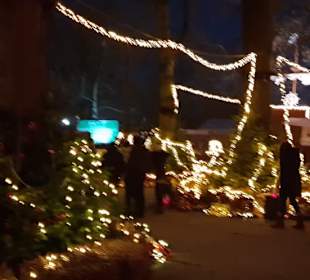 Fredenbaumpark Mittelalterlicher Weihnachtsmarkt