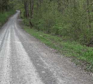 Walderlebnisweg Rottenburg