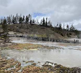 Yellowstone Nationalpark