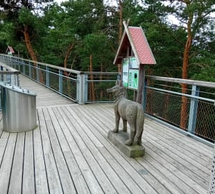 Wolfshinweis