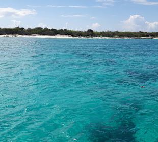 Insel Katalina in Sicht