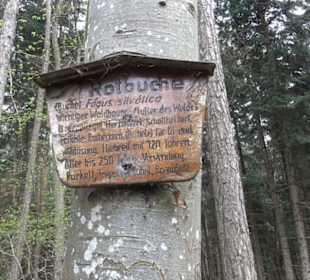 Vitus Mayer Waldlehrpfad