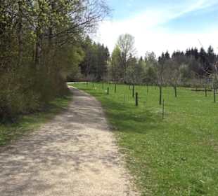 Aussichtspavillon Beutenlay