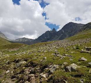 Pontresina - Val Languard
