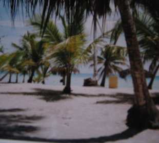 Strand von Saona