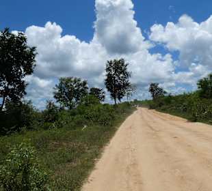Nationalpark Udawalawe
