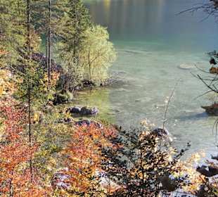 Zauberwald & Hintersee