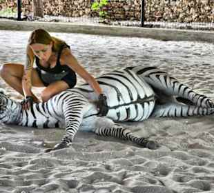 Jenny mit dem Zebra
