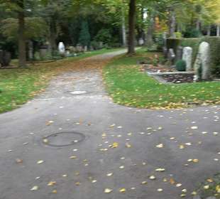 Hauptfriedhof Friedrichshafen