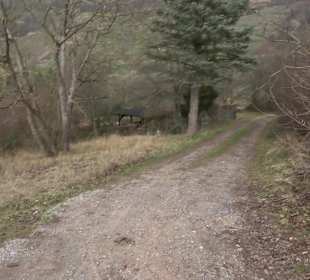 Unterjesinger Wengertwegle