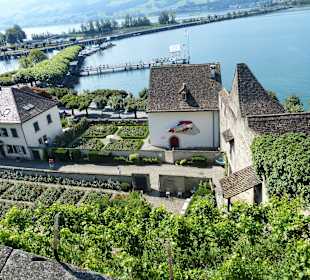 Garten- und Seeblick