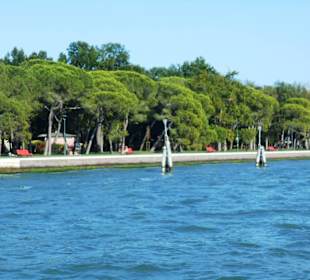 Giardini della Biennale