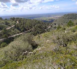 Blick auf die Serpentinen