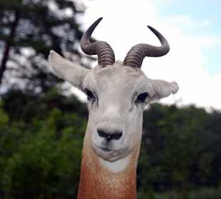 Serengeti Park Hodenhagen