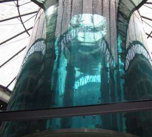 Gigantisch - der Aquadome!