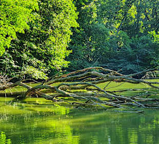 Untersee Kyritzer Seenkette
