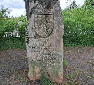 Seewoog in Ramstein-Miesenbach