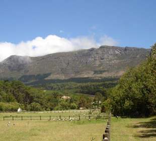 Wanderweg, Verkostung und Shopping