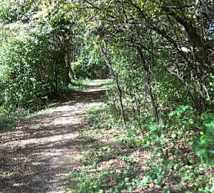 Baumlehrpfad Zollertal