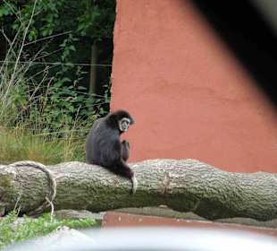 Serengeti Park Hodenhagen
