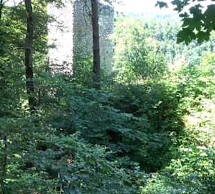 Burg Hohenerpfingen Erpfingen