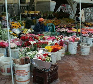 Blumenmarkt in Kapstadt