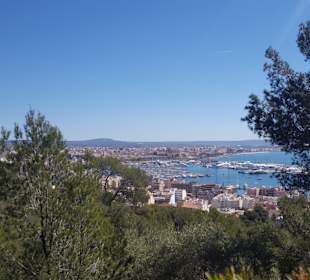 Land erkunden macht Spass