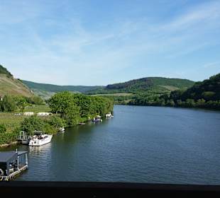 Wandern Alf an der Mosel