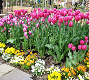 Kleingärten-Ausstellung