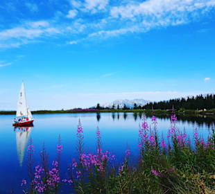 Österreichs größtes Bergerlebnis - KaiserWelt