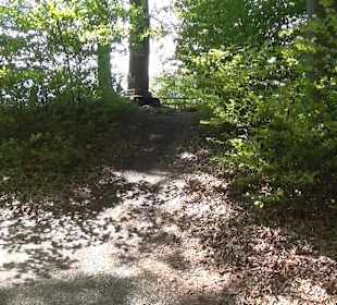 Rundwanderweg - Ottos Ruh