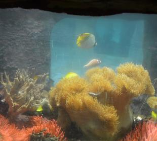 Aqua Mundo